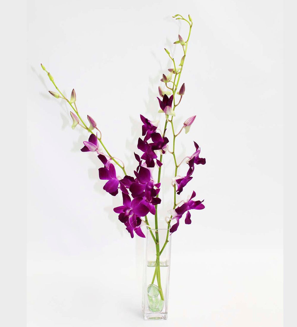 Fresh Cut Small Orchid Bunch in Glass Vase swatch image
