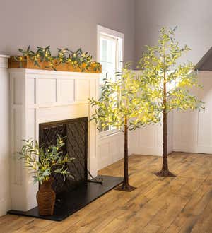 Indoor/Outdoor Battery-Operated Lighted Olive Branches, Set Of 2