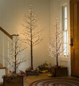 Medium Indoor/Outdoor Snowy Lighted Tree, 6'H with 98 Lights