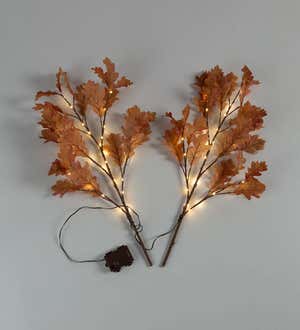 Indoor/Outdoor Lighted Rust Oak Connected Branches, Set of 2