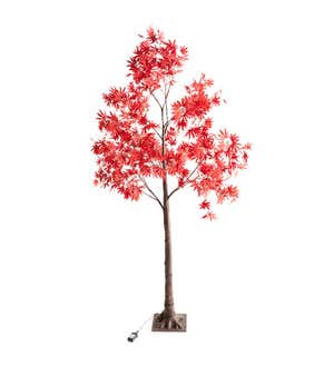 Indoor/Outdoor Lighted Japanese Maple Tree, 6'H with 300 Lights
