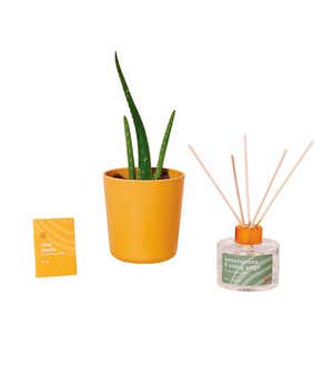 Aloe Grounding Kit