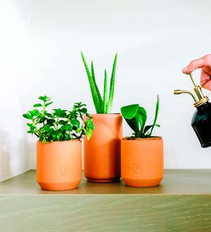 Tiny Terracotta Grow Kit (3-Pack)