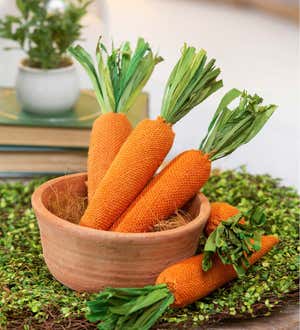 Faux Carrots in Gift Box, Set of 5