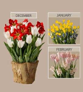 6 Months of Flower Bulb Deliveries & Root Bowl