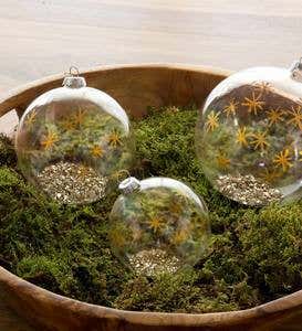Glass Star Ball Ornaments