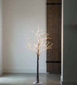 Birch LED Lighted Tree, Medium 5'H