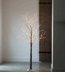 Birch LED Lighted Tree, Large 6'H