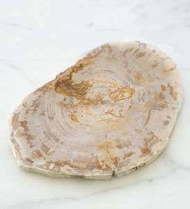 Genuine Organic Fossil Serving Tray