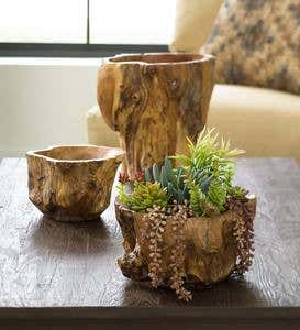 Hand-Crafted Teak Root of the Earth Bowls