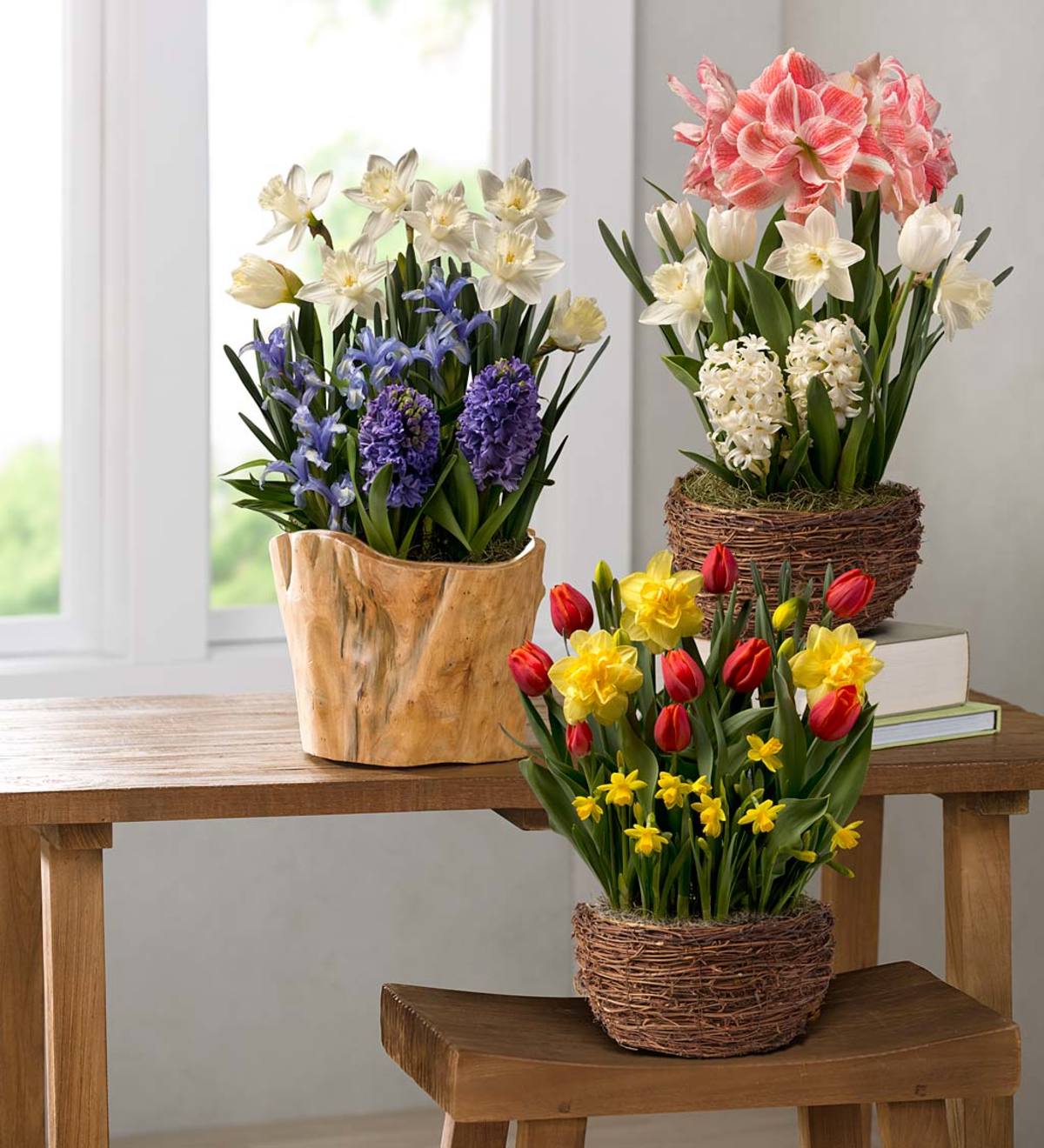 Spring Gifting Flower Bulbs in Grapevine Basket