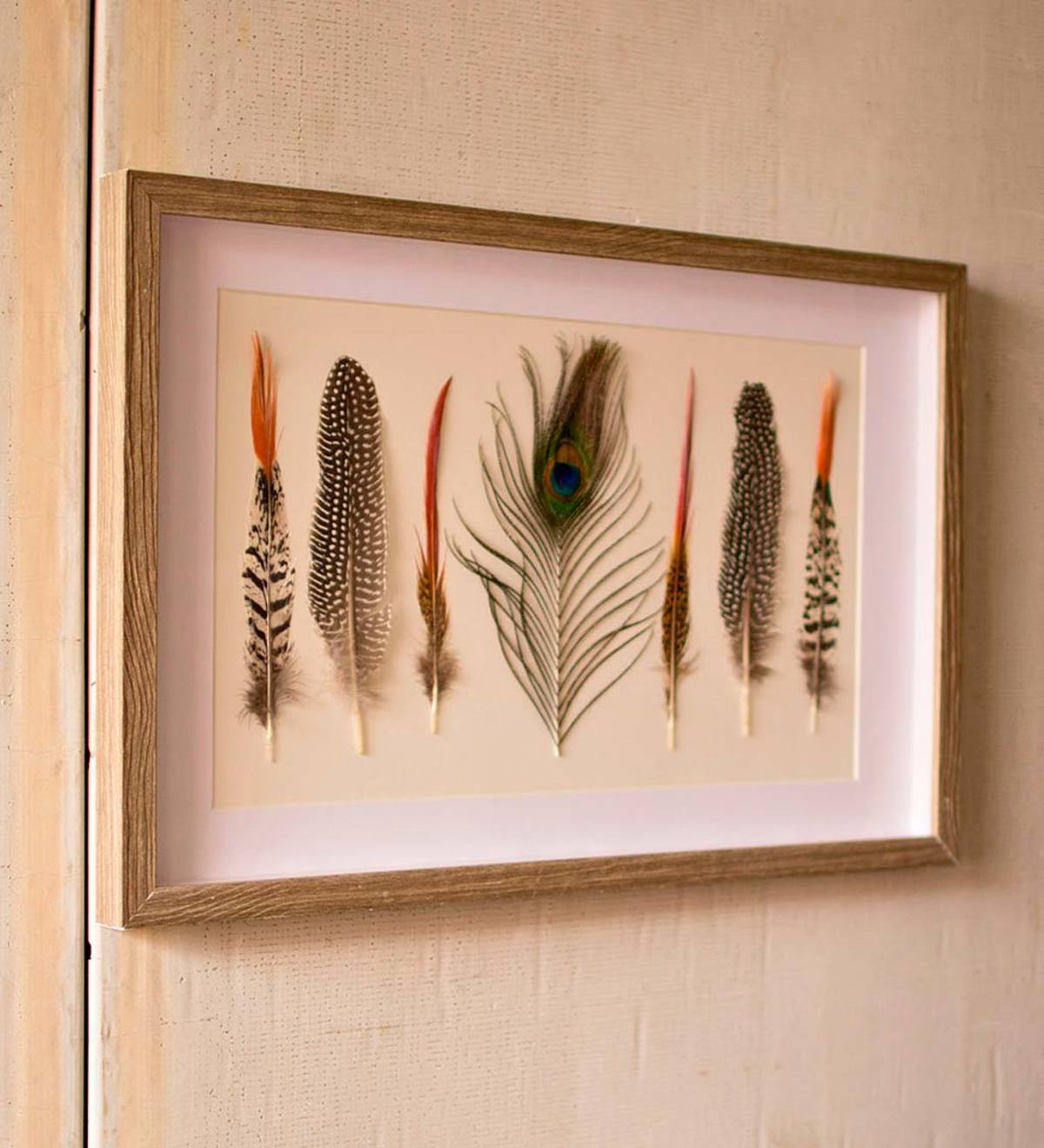 Framed Feathers Under Glass Wall Art