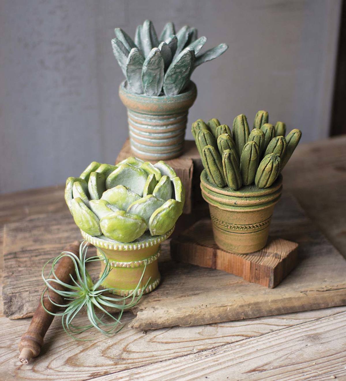 Clay Succulents with Pots Set of 3