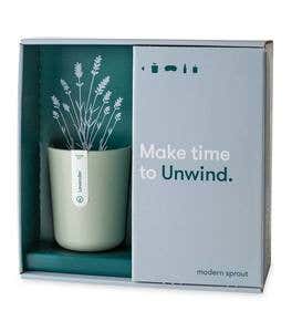 Mood Plant Gift Boxes