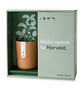 Mood Plant Gift Boxes