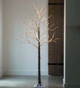 Birch LED Lighted Tree, X-Large 7'2"H - Brown