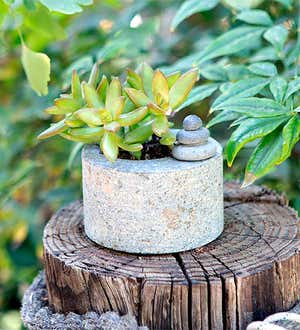 Riverstone Succulent Pot with Cairn
