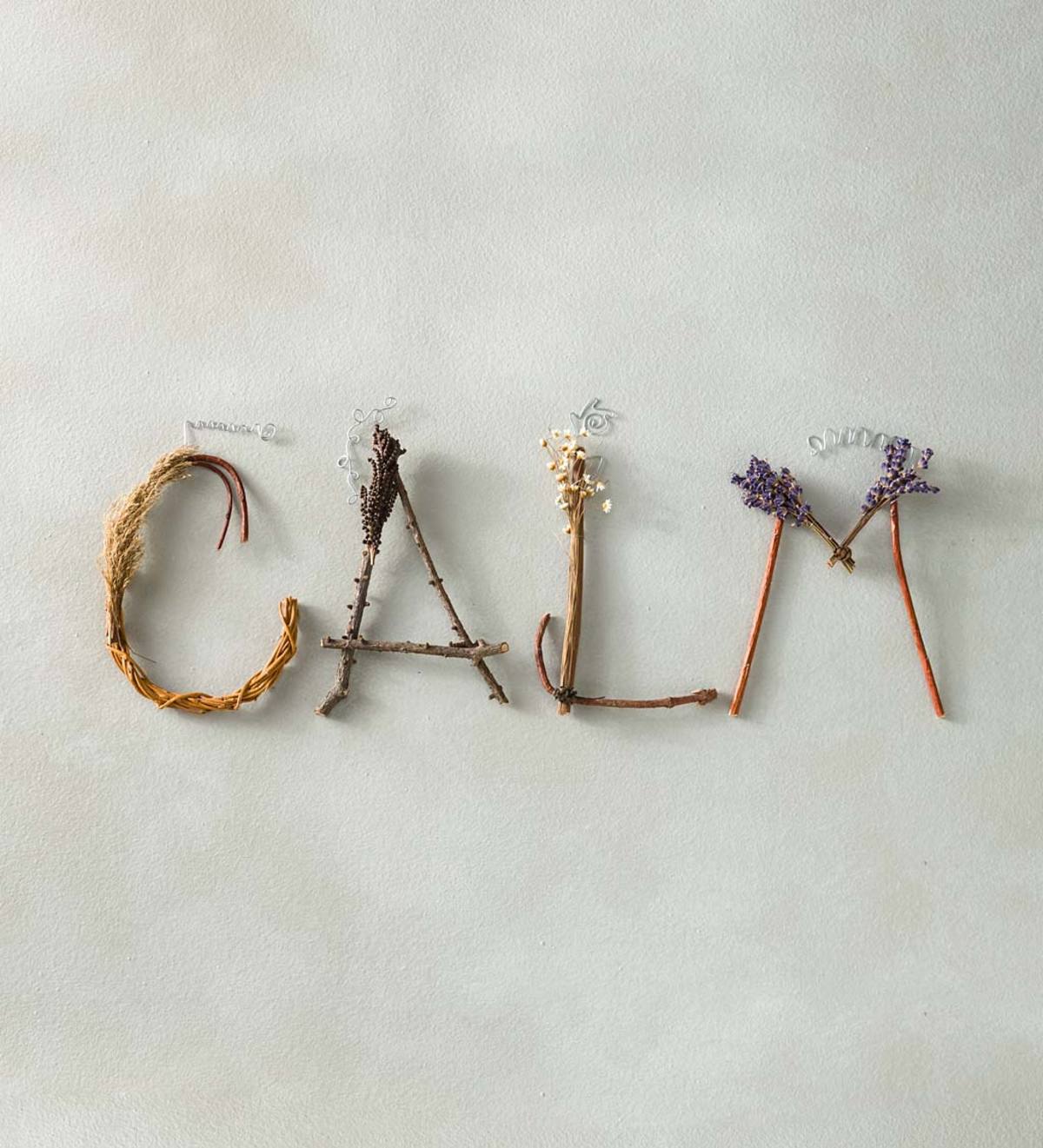 "Calm" Twig Letter Art