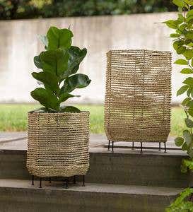 Seagrass Basket Planters with Iron Base