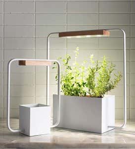 Indoor Countertop Grow Light Planter, 4-Light - White