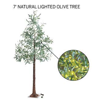 Indoor/ Outdoor Faux Lighted Olive Tree, 7'