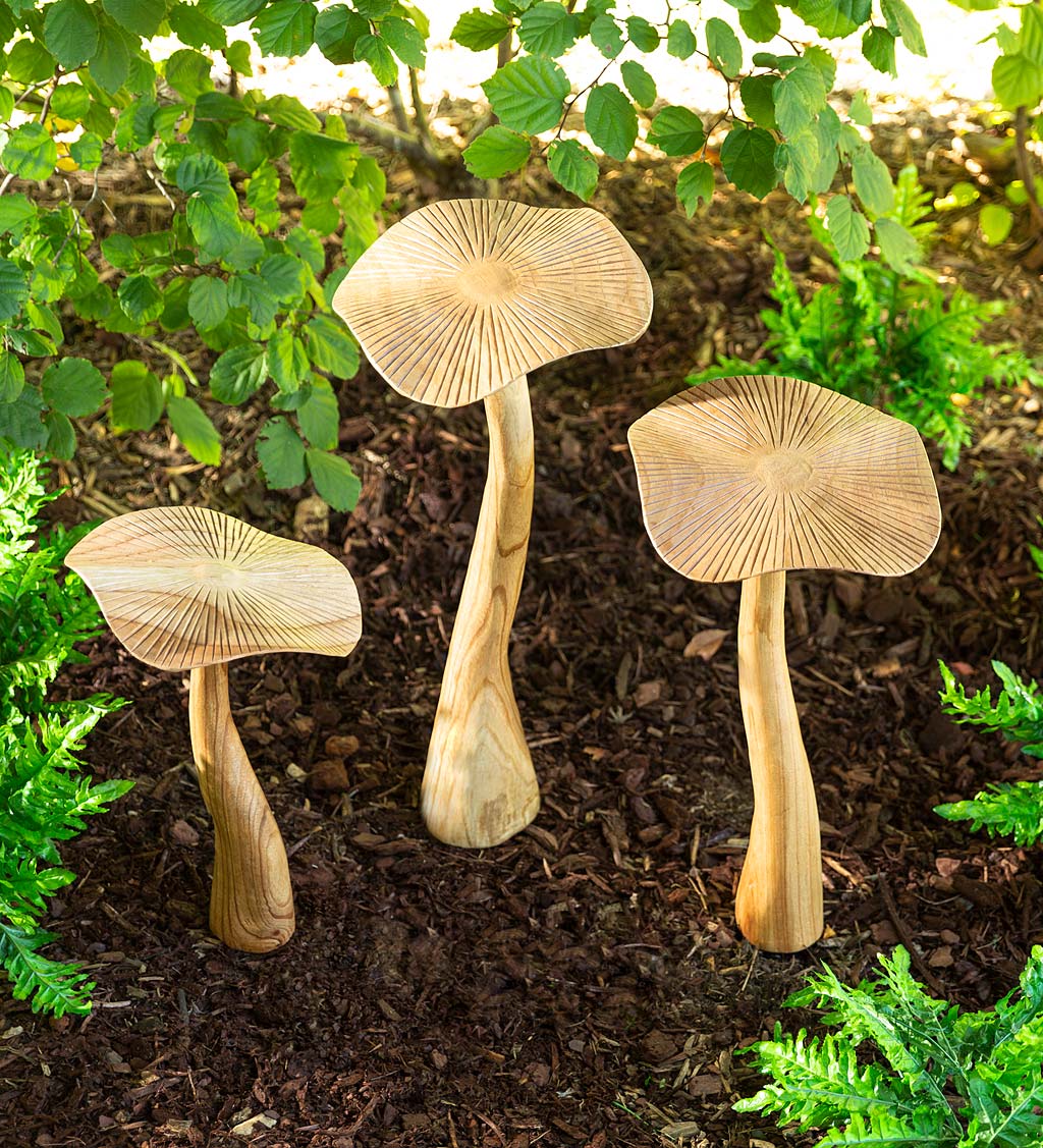 How to Garden with Mushrooms