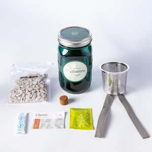 Herb Jar Growing Kits - Mint