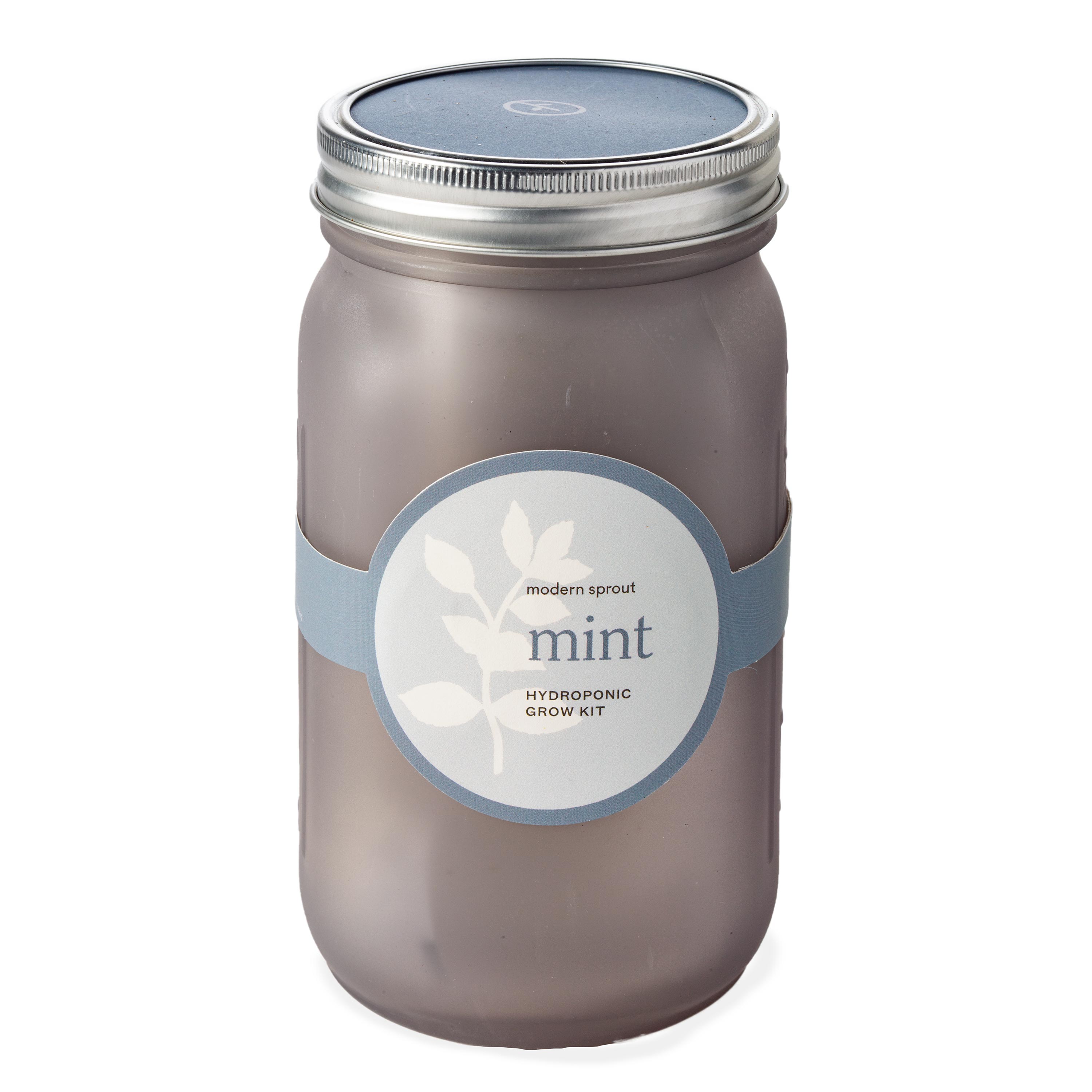 Herb Jar Growing Kits - Mint