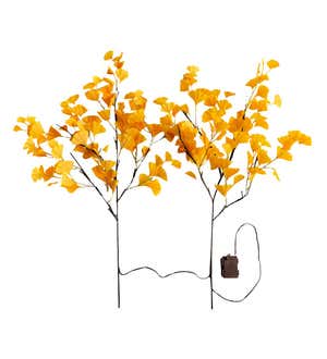 Indoor/ Outdoor Battery-Operated Lighted Ginkgo Branches, Set of 2
