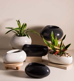 Rolled Stone Eco-Planters, Open
