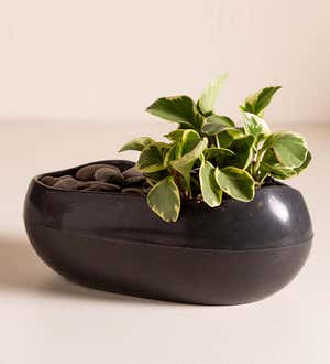 Rolled Stone Eco-Planter Collection