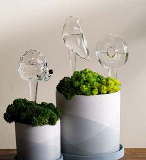 Handblown Glass Self-Watering Globe