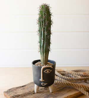 Artificial Cactus Plant in Black Planter