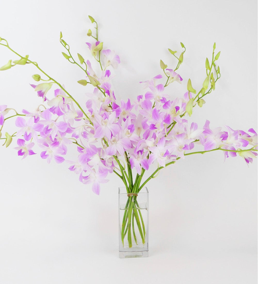 Large Orchid Bunch in Glass Vase swatch image