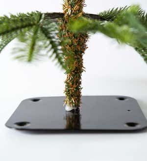 Indoor/ Outdoor Tabletop Alpine Fir Tree, Medium