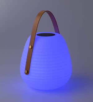 Multi-Colored Beehive Solar Lantern, Small