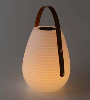 Color Changing Beehive Solar Lantern Collection