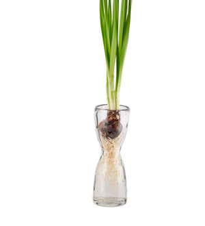 Glass Forcing Bulb Vase, Small