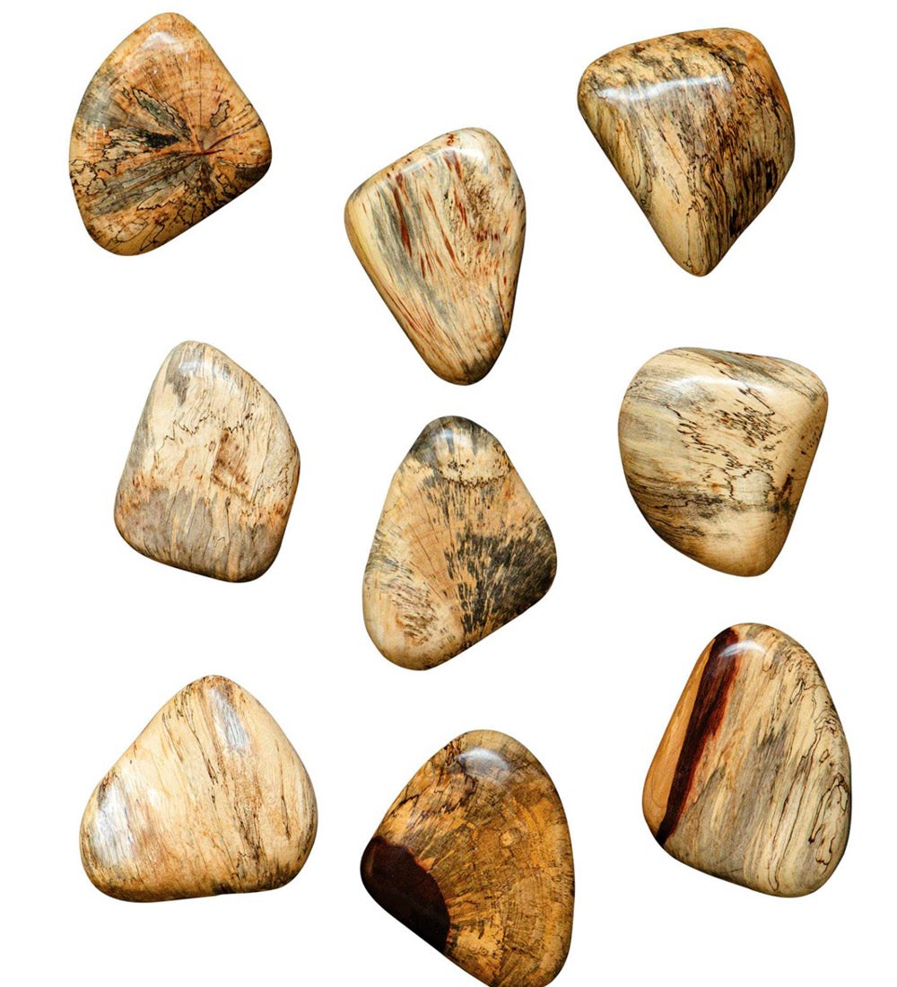 Pebbles Wood Wall Decor, Set of 9 swatch image