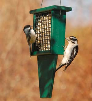 Recycled Plastic Suet Cake Bird Feeder with Tail Prop