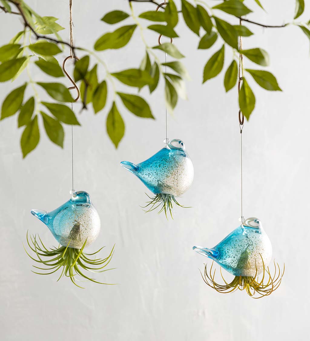 Glass Hanging Bird Airplant Holders, Set of 3