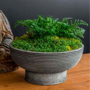 Calistoga Planter Bowl