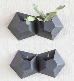 Hexagonal Iron Wall Vase Collection