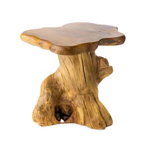 Handcrafted Teak Mushroom Accent Table