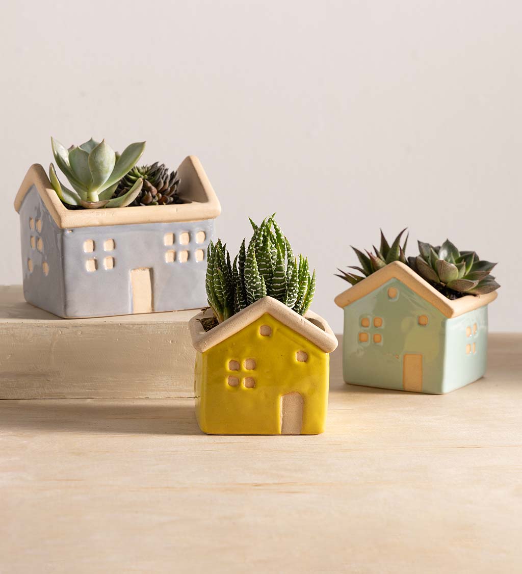 House Planters with Live Succulents, Set of 3