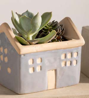 House Planters with Live Succulents, Set of 3