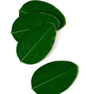 BaliHai Leaf-Shaped Coasters, Set of 4