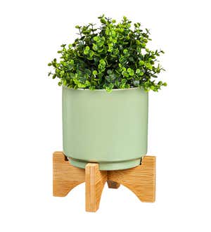 4" Ceramic Planter with Wood Stand, Set of 3