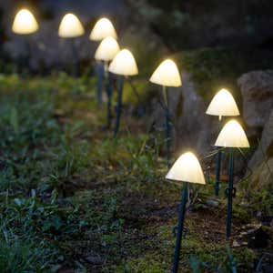 Solar Sprouting Mushroom String Lights