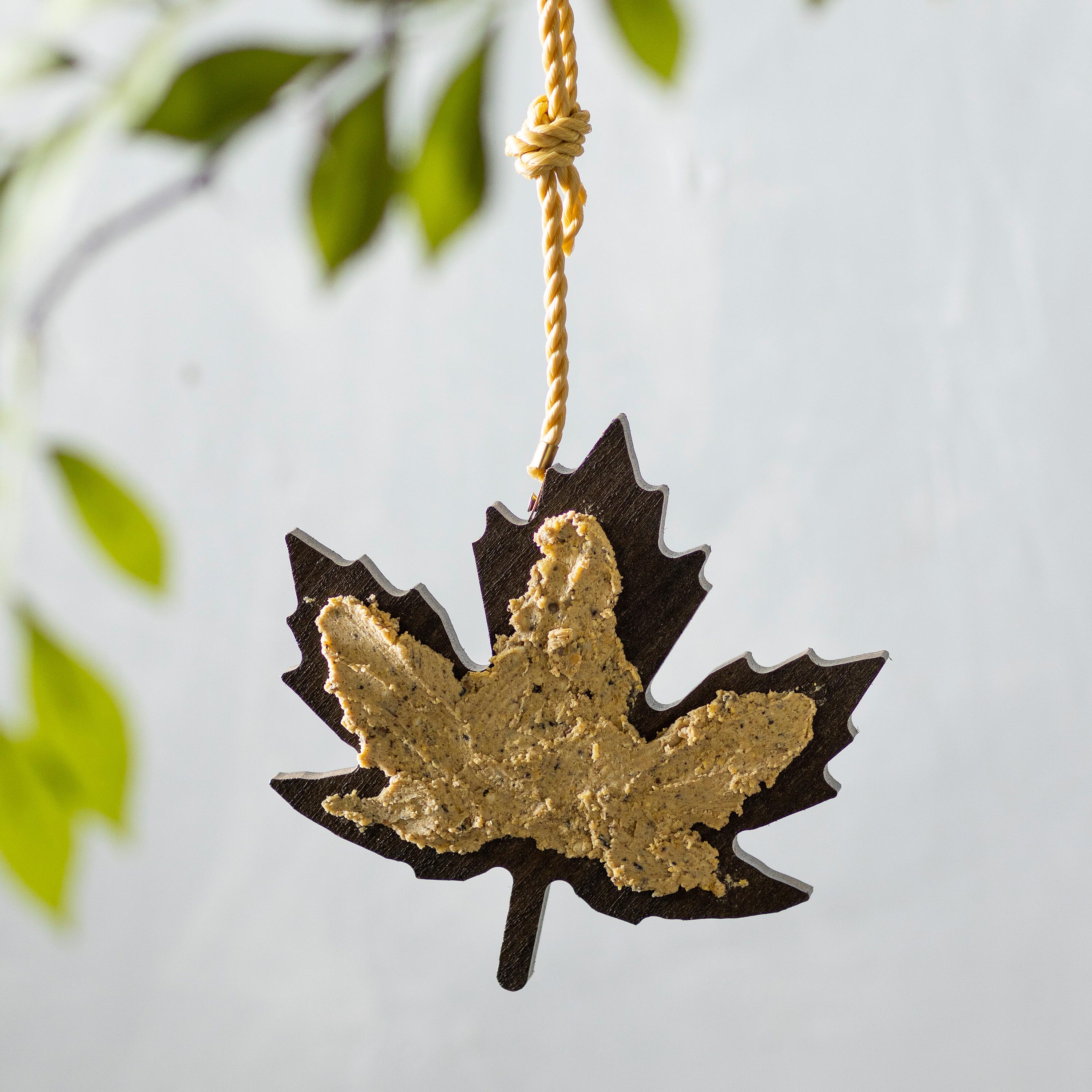Recycled Leaf Hanging Feeder Collection